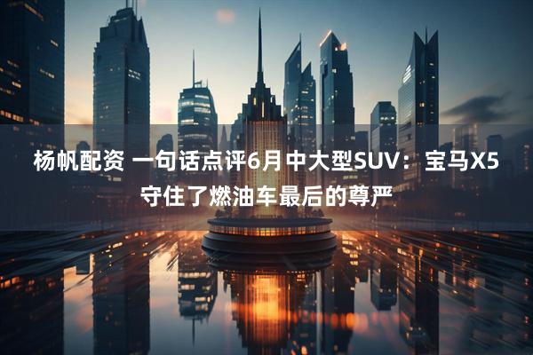 杨帆配资 一句话点评6月中大型SUV：宝马X5守住了燃油车最后的尊严