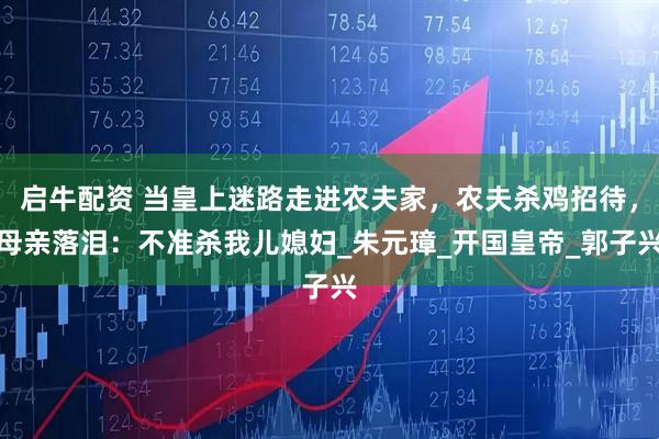 启牛配资 当皇上迷路走进农夫家,农夫杀鸡招待,母亲落泪:不准杀我儿媳妇_朱元璋_开国皇帝_郭子兴