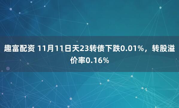 趣富配资 11月11日天23转债下跌0.01%，转股溢价率0.16%